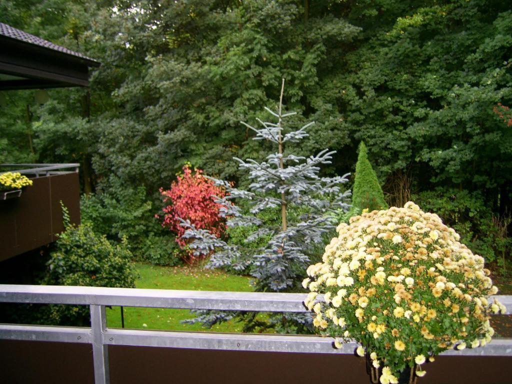 Waldpension บีเลอเฟล์ด ภายนอก รูปภาพ